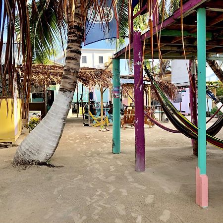 Tropical Oasis Hostel Caye Corker Zewnętrze zdjęcie