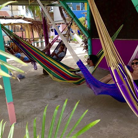 Tropical Oasis Hostel Caye Corker Zewnętrze zdjęcie
