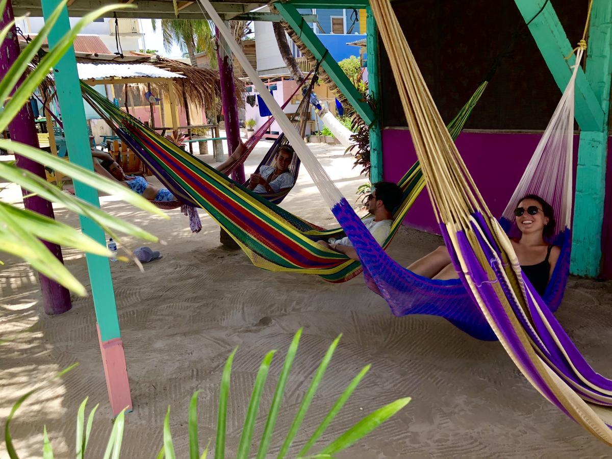 Tropical Oasis Hostel Caye Corker Zewnętrze zdjęcie