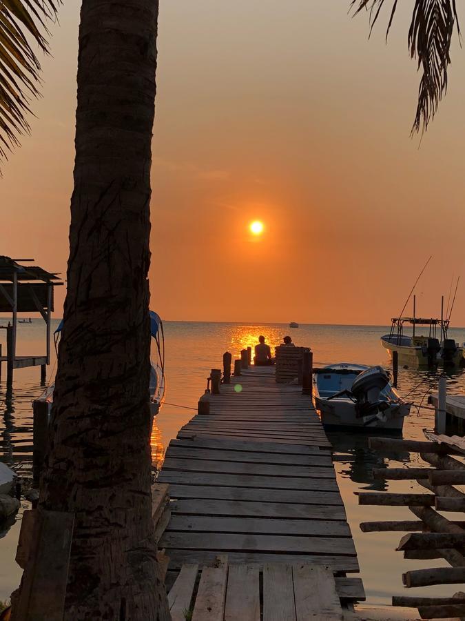Tropical Oasis Hostel Caye Corker Zewnętrze zdjęcie